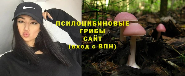 спиды Белокуриха