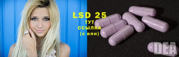 спиды Белокуриха