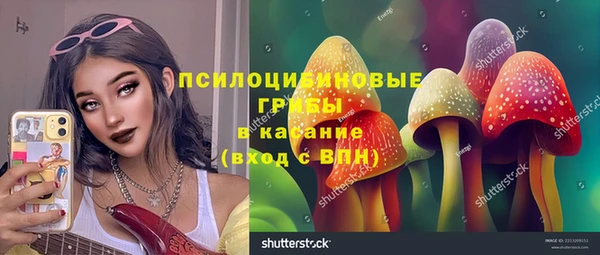 спиды Белокуриха