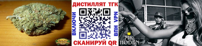 хочу блэк спрут вход ТГК вейп с тгк Шенкурск