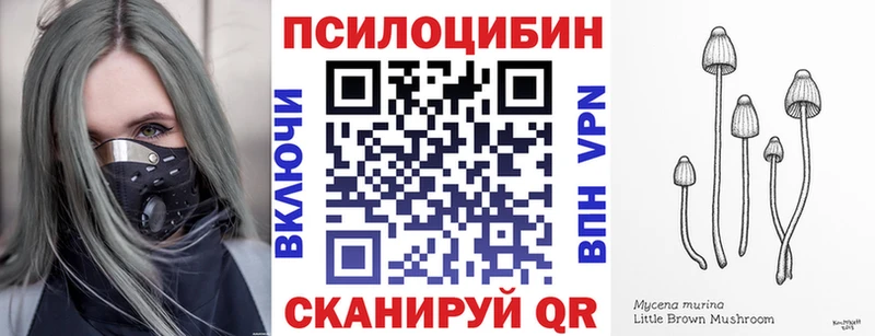 Псилоцибиновые грибы мицелий Шенкурск