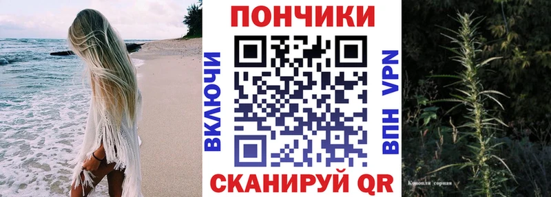 Бошки марихуана индика  мега зеркало  Шенкурск 